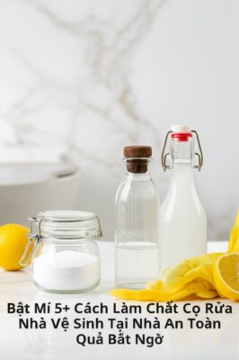 Bật Mí 5+ Cách Làm Chất Cọ Rửa Nhà Vệ Sinh Tại Nhà An Toàn, Hiệu Quả Bất Ngờ