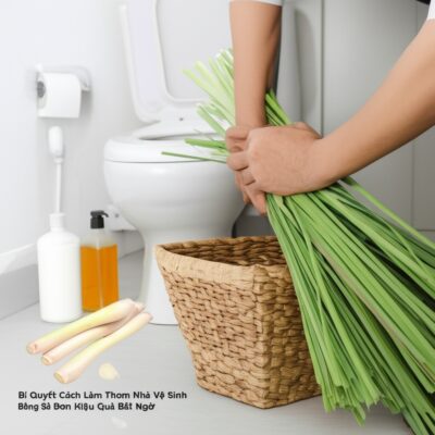 Bí Quyết Cách Làm Thơm Nhà Vệ Sinh Bằng Sả Đơn Giản, Hiệu Quả Bất Ngờ