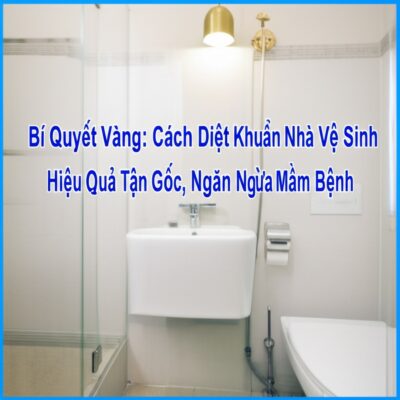 Bí Quyết Vàng: Cách Diệt Khuẩn Nhà Vệ Sinh Hiệu Quả Tận Gốc, Ngăn Ngừa Mầm Bệnh