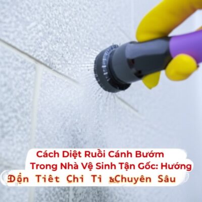 Cách Diệt Ruồi Cánh Bướm Trong Nhà Vệ Sinh Tận Gốc: Hướng Dẫn Chi Tiết & Chuyên Sâu