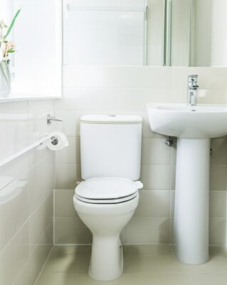 Cách Diệt Ruồi Giấm Trong Nhà Vệ Sinh Tận Gốc: Hướng Dẫn Chuyên Gia