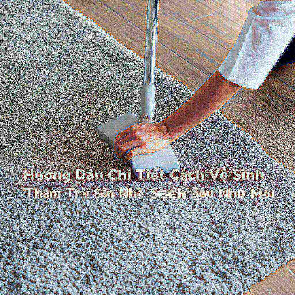 Hình minh họa cho bài viết: Hướng Dẫn Chi Tiết Cách Vệ Sinh Thảm Trải Sàn Nhà Sạch Sâu Như Mới