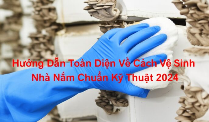 Hướng Dẫn Toàn Diện Về Cách Vệ Sinh Nhà Nấm Chuẩn Kỹ Thuật 2024